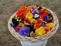 Edible Flower Basket